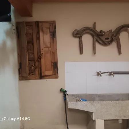 Cepa Alta Del Hocillo *