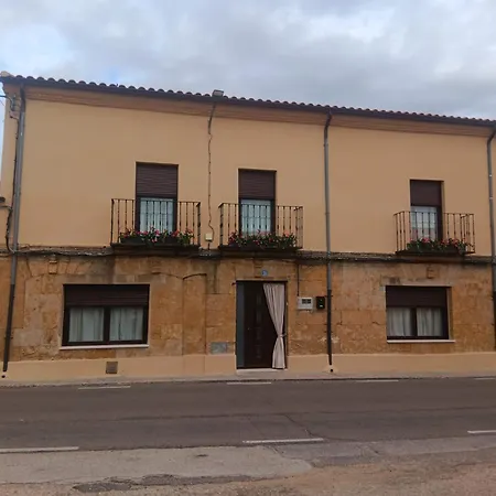 Cepa Alta Del Hocillo *