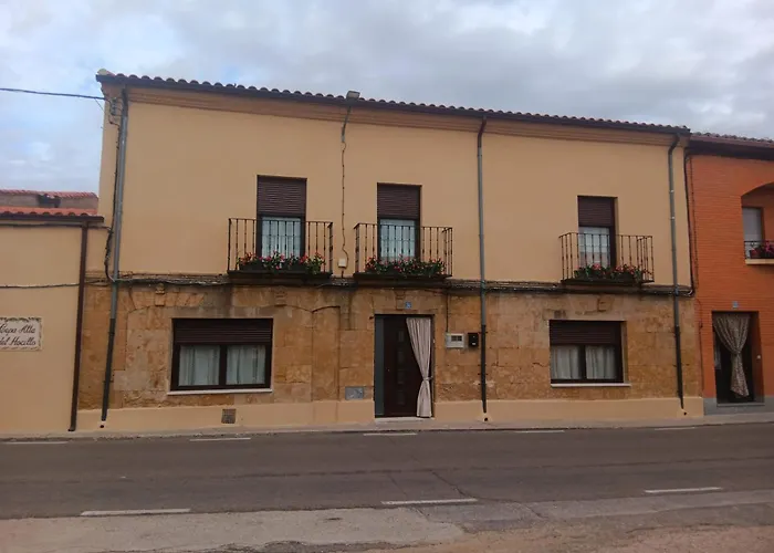 Cepa Alta Del Hocillo *